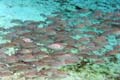 015 IMG_1456c