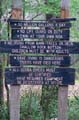 018  IMG_0897c