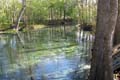 020 IMG_0882c