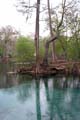 025 IMG_0885c