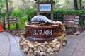 027 IMG_0907c