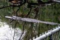 029 IMG_0912c