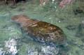 034 IMG_0934c