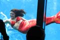 038 IMG_0949c