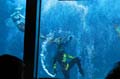 042 IMG_0958c