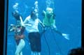 043 IMG_0959c