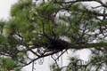 047 IMG_0974c