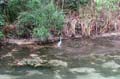 048 IMG_0978c