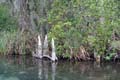 049 IMG_0979c