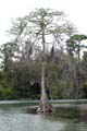 050 IMG_0984c