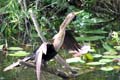 056 IMG_0998c