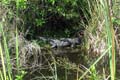 060 IMG_1024c