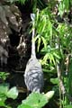 061  IMG_1025c