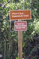 062 IMG_1027c