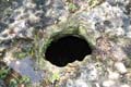 063 IMG_1031c