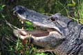 069 IMG_1045c