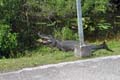 070 IMG_1046c