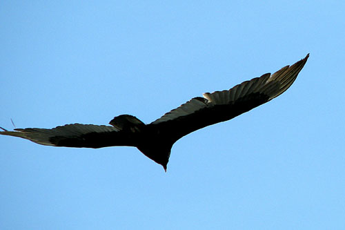 024 IMG_0831c