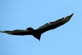 024 IMG_0831c