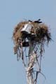 026 IMG_0842c