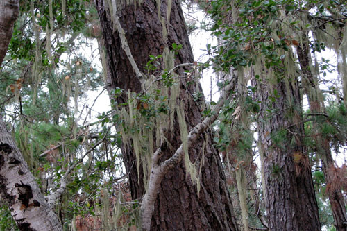 009 IMG_0504c
