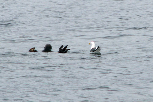 125 IMG_0672c