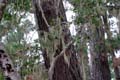 009 IMG_0504c