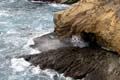 016 IMG_0514c