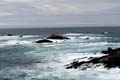 018 IMG_0520c