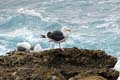 024 IMG_0534c