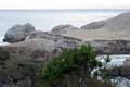 030 IMG_0542c