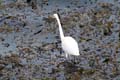 048 IMG_0568c