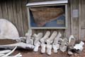 067 IMG_0591c