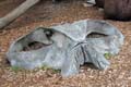 068 IMG_0590c