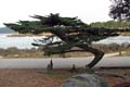 076 IMG_0603c