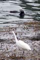 086 IMG_0616c