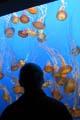 105 IMG_0640c