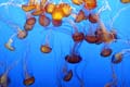 106 IMG_0642c