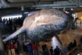 114 IMG_0658c