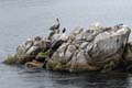 129 IMG_0677c