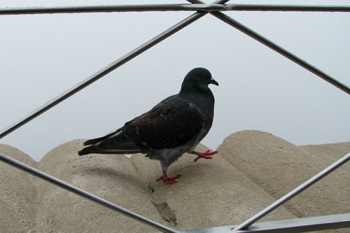 019 IMG_0176c