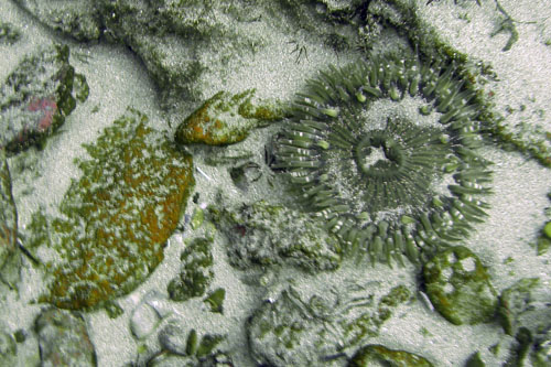 024 i00151c