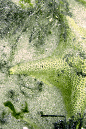 025 i00152c