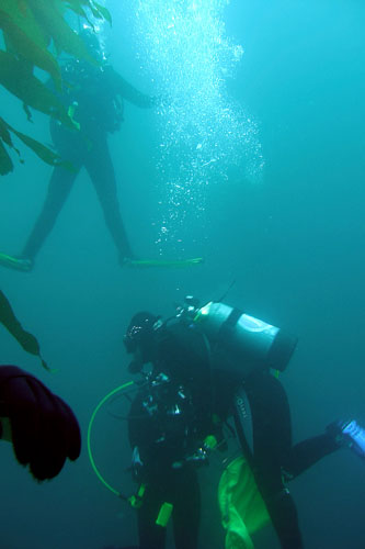 061 i00206c