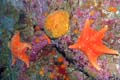 051 IMG_1370c