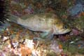054 IMG_1373c