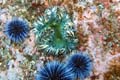 090 IMG_1374c