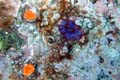 092 IMG_1376c
