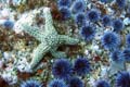 095 IMG_1383c