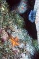 105 IMG_1387c